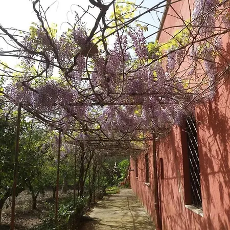 Casa Dell'upupa * 弗兰卡维拉丰塔纳